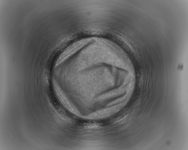 X0000096690643200802261541