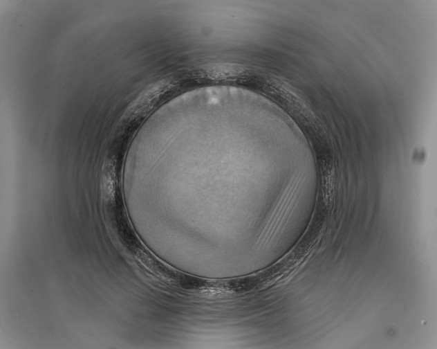 X0000096690644200802261541