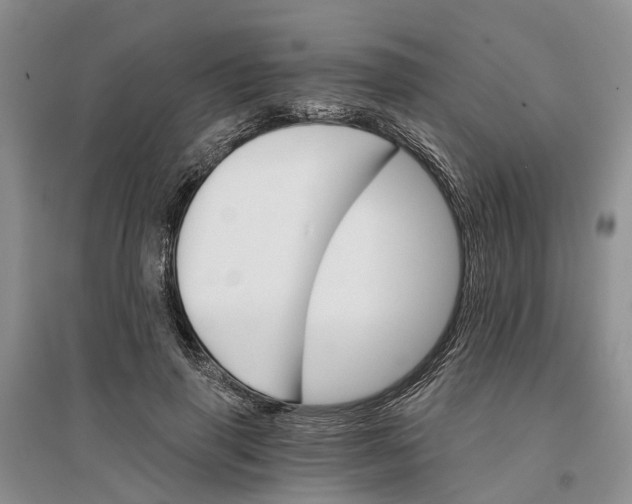 X0000096690645200802261541