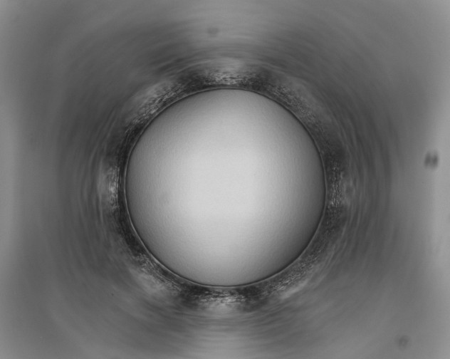 X0000096690646200802261541