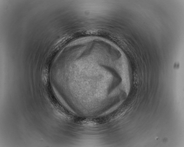 X0000096690648200802261541