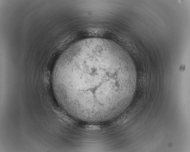 X0000096690649200802261541