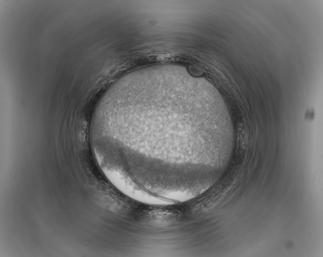 X0000096690650200802261541