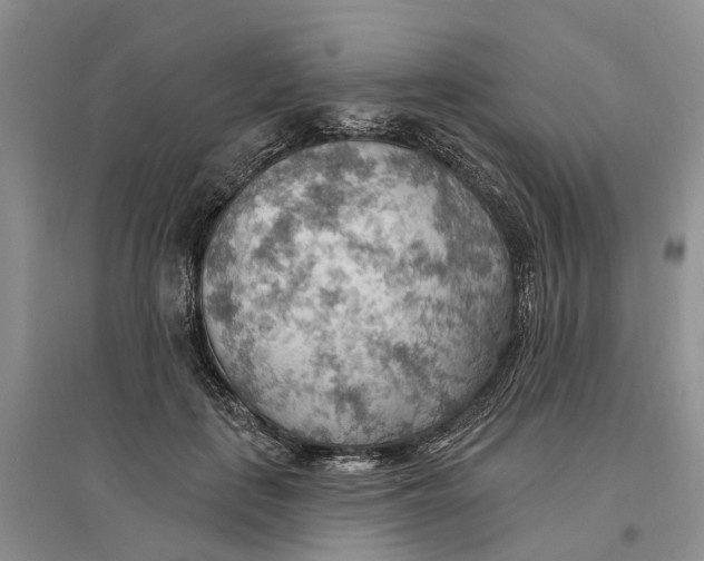 X0000096690651200802261541