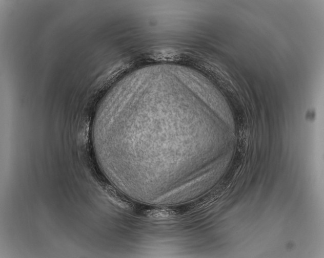 X0000096690652200802261541