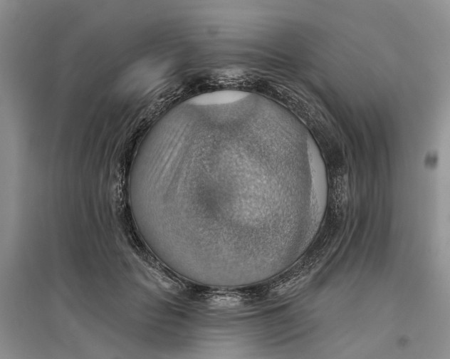 X0000096690653200802261541