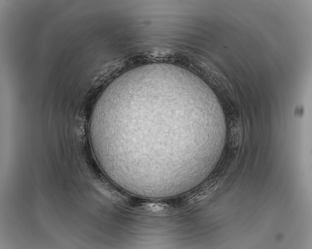 X0000096690654200802261542