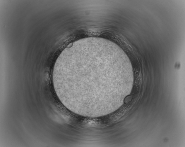 X0000096690655200802261542