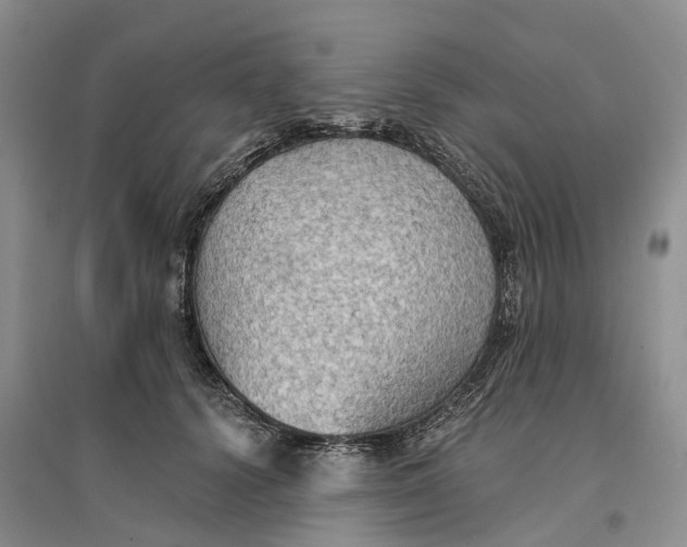 X0000096690656200802261542