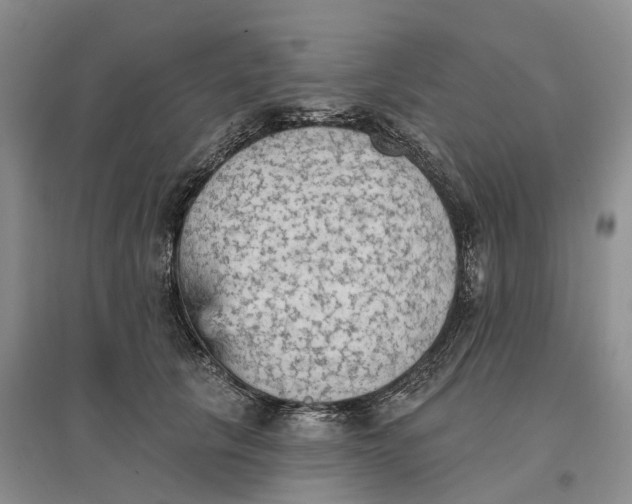 X0000096690657200802261542