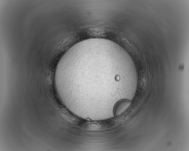 X0000096690658200802261542