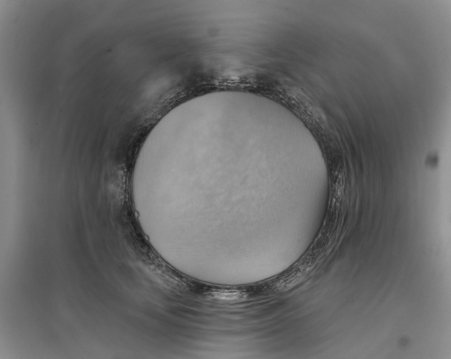 X0000096690659200802261542