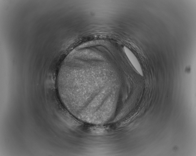 X0000096690661200802261542