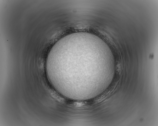 X0000096690662200802261542