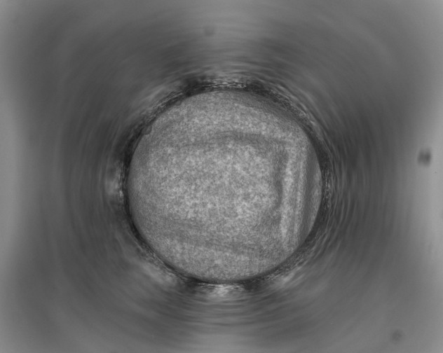 X0000096690663200802261542