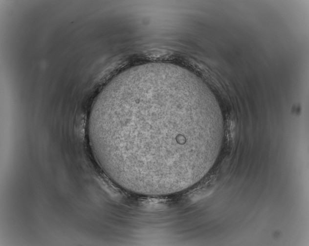 X0000096690664200802261542