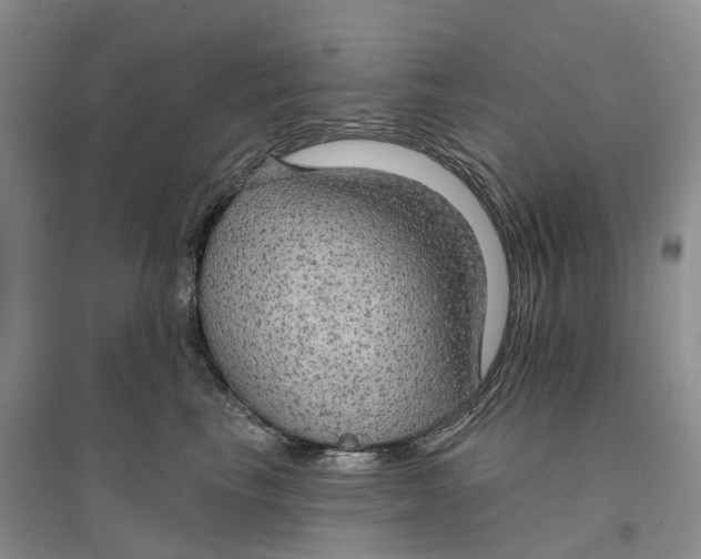 X0000096690665200802261542