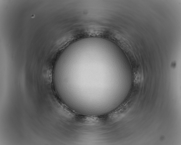 X0000096690666200802261542