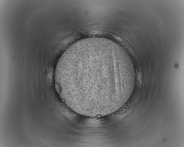 X0000096690668200802261542