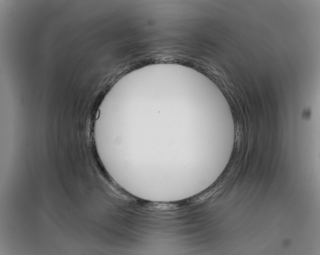 X0000096690670200802261542