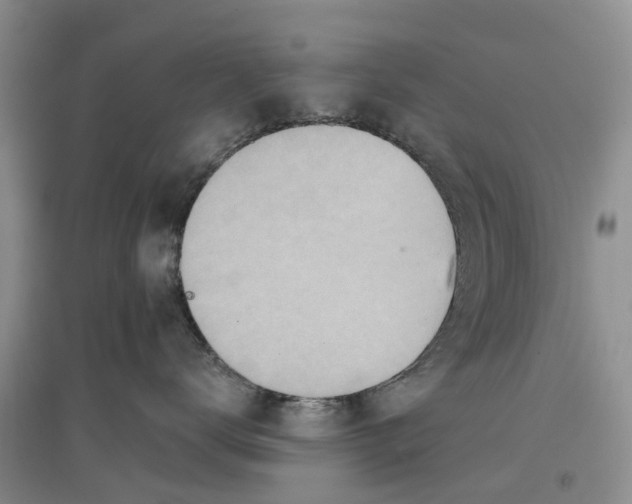 X0000096690672200802261542