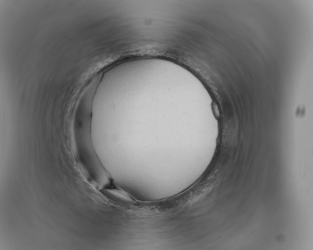 X0000096690673200802261541