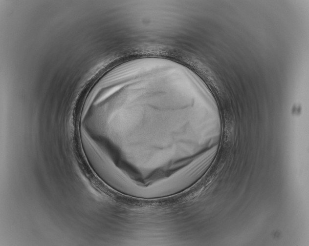 X0000096690674200802261541