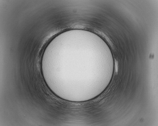 X0000096690675200802261541