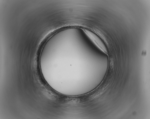 X0000096690676200802261541