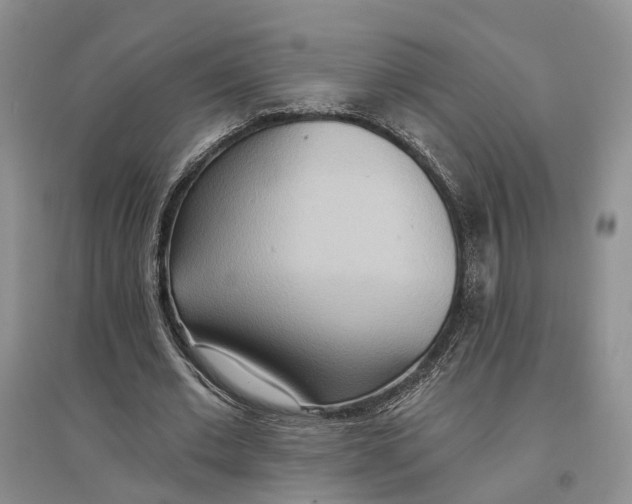 X0000096690677200802261541