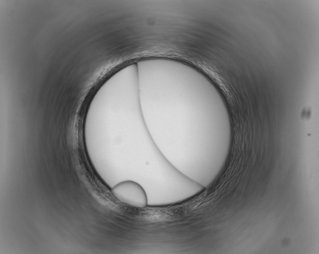 X0000096690678200802261541