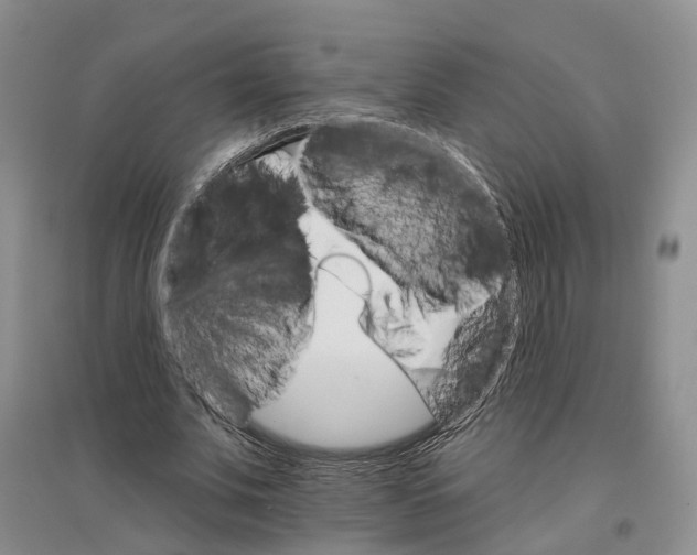 X0000096690679200802261541