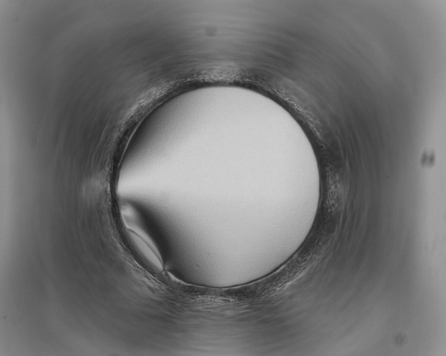 X0000096690681200802261541