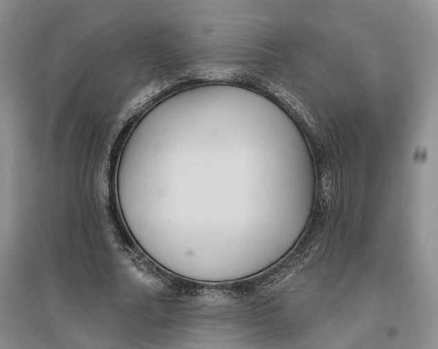 X0000096690682200802261541