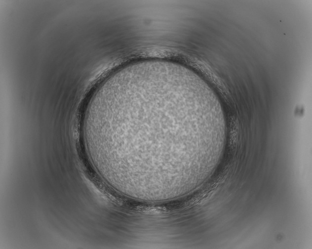 X0000096690683200802261541