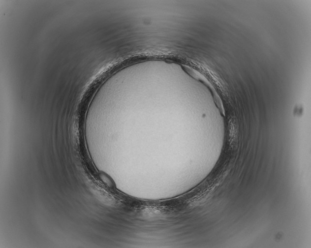 X0000096690684200802261541