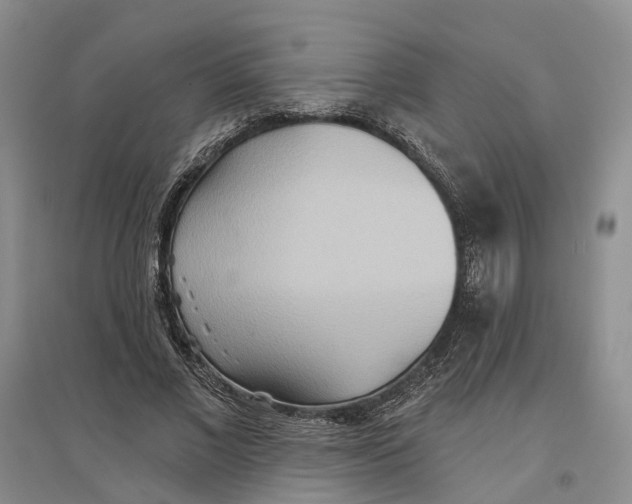 X0000096690685200802261541