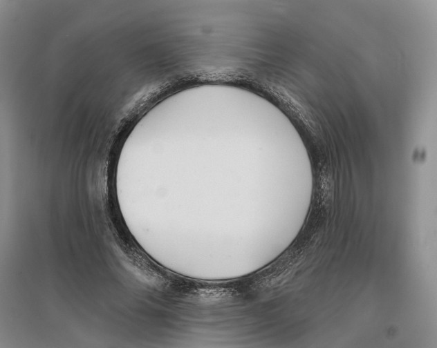 X0000096690686200802261541