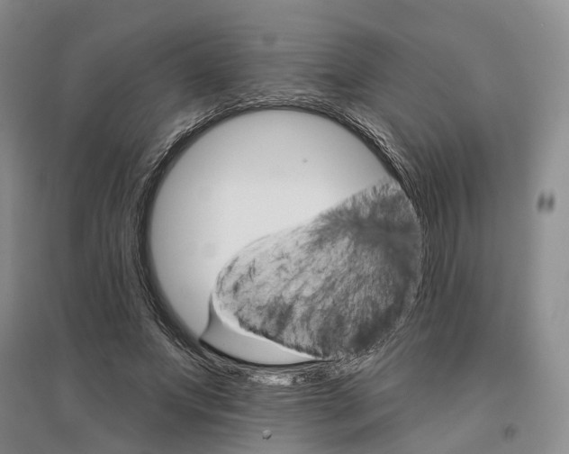 X0000096690687200802261541