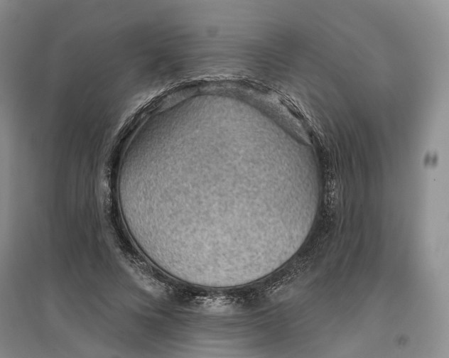 X0000096690688200802261541