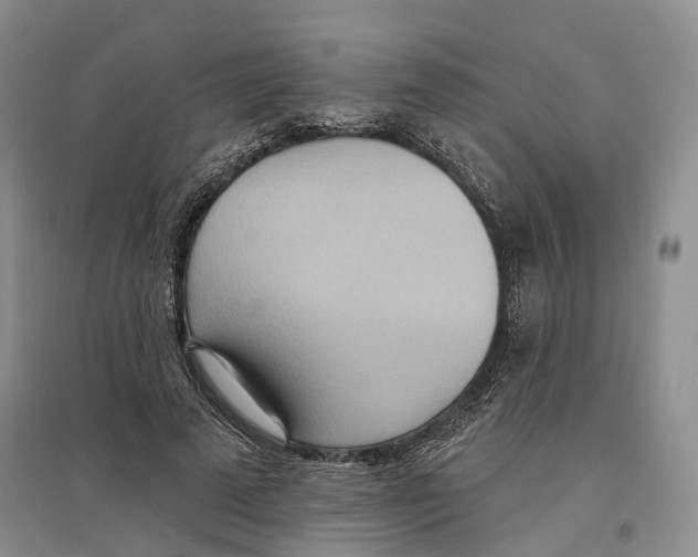 X0000096690689200802261541