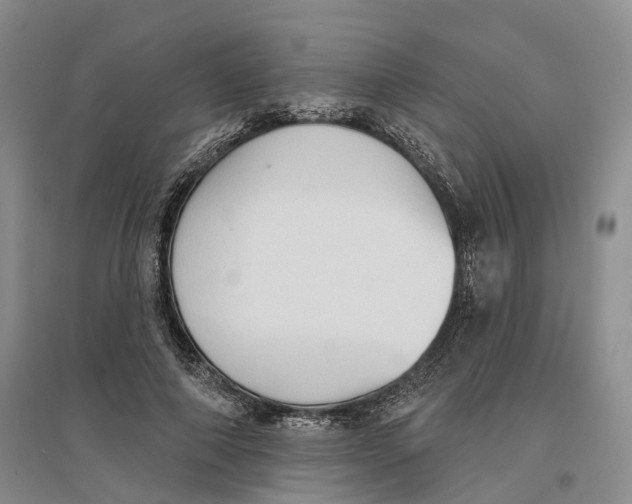 X0000096690690200802261541