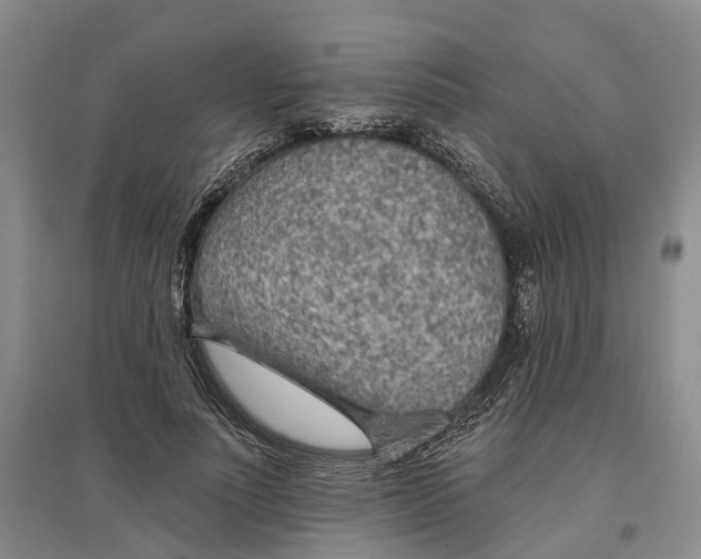 X0000096690691200802261541