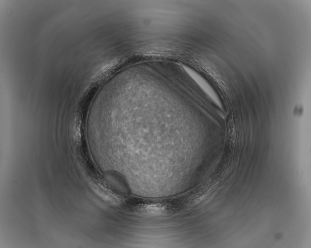 X0000096690692200802261541