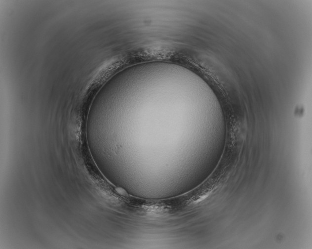 X0000096690693200802261541