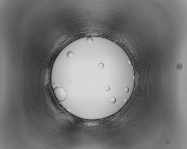 X0000096690694200802261541