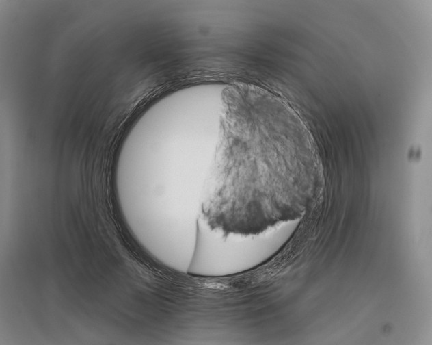 X0000096690695200802261540