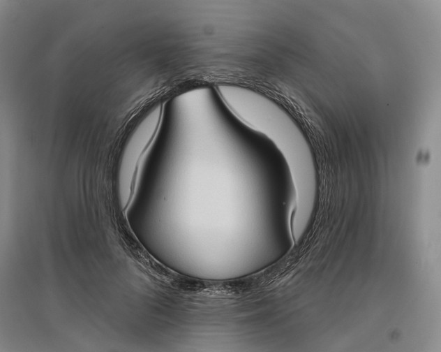 X0000096690696200802261540