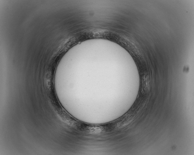 X0000096690698200802261540