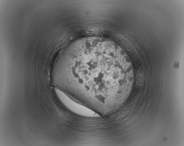 X0000096690699200802261540